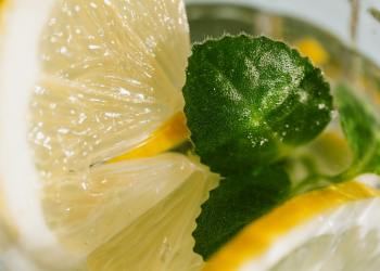 The Nightly Mint: Daily NFT Recap