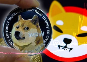Dogecoin and Shiba Inu