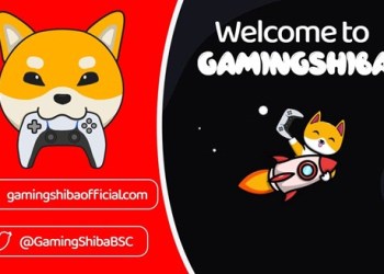 GamingShiba is Bringing a Dynamic Streaming Platform to the Digital World
