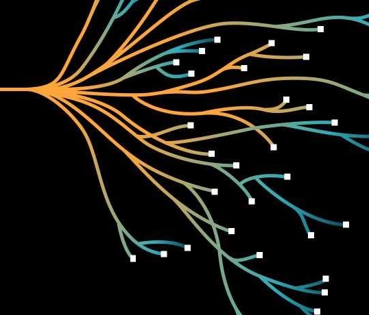 Taro, image from the press release