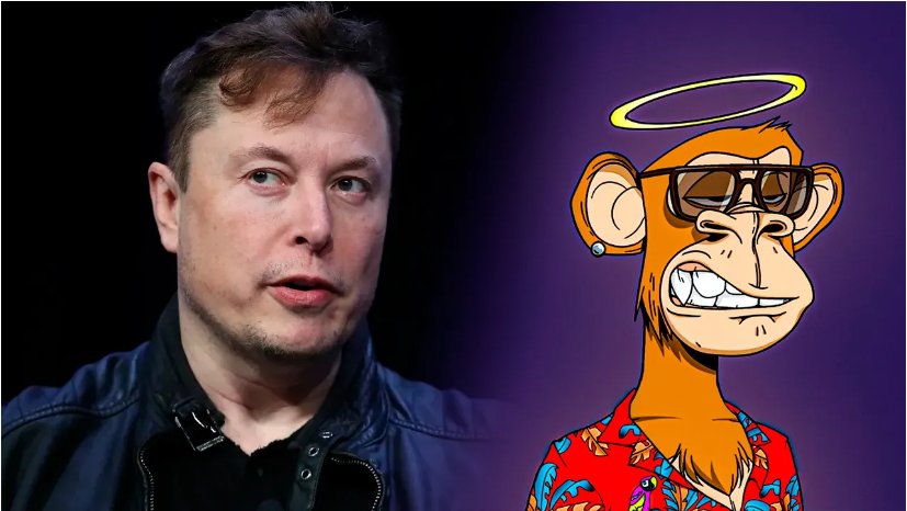 APE Slingshots To $17.60 Within Minutes After Elon Musk Twitter Profile Pic Change