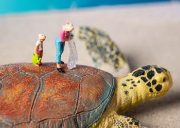 Next Earth launches a charity game in collaboration with SEE Turtles: Users can win $200,000 worth of NXTT and unique NFTs while cleaning the ocean