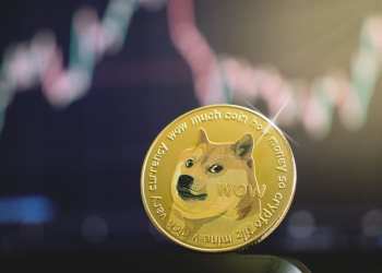 Dogecoin crypto