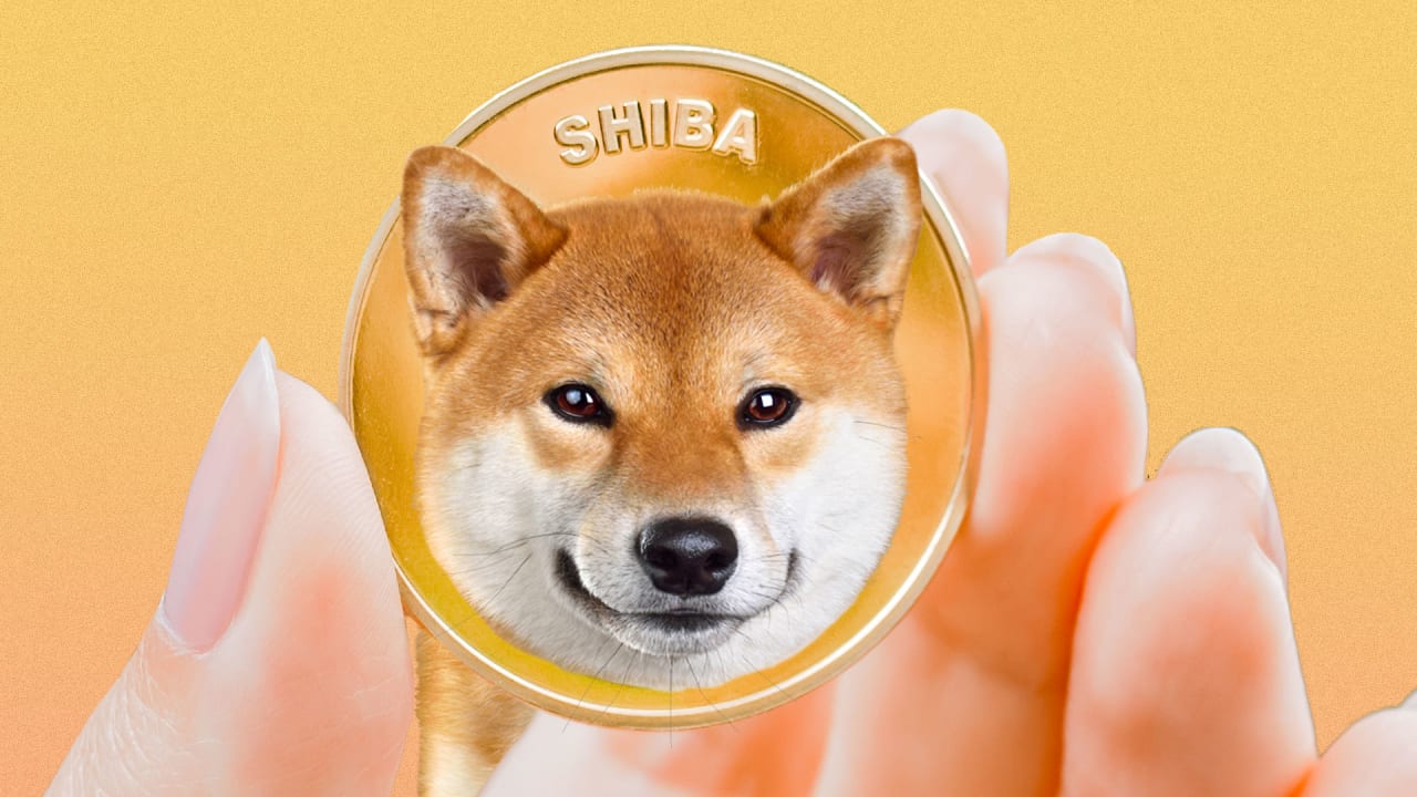 Shiba Inu Closes Gap With Rival, Dogecoin, As Followers Surpass 3.33 Million | Bitcoinist.com