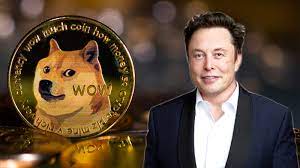 Elon Musk Dogecoin