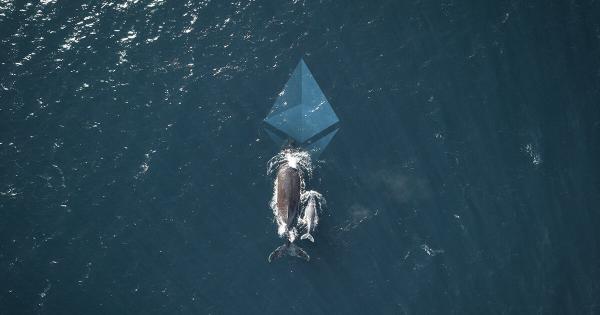 Ethereum whales