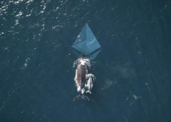 Ethereum whales