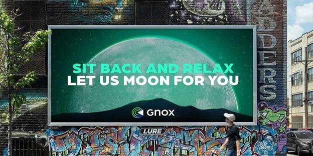 Missed Hex (HEX)? Gnox Token (GNOX) and Fantom (FTM) offer you a chance to redeem your portfolio