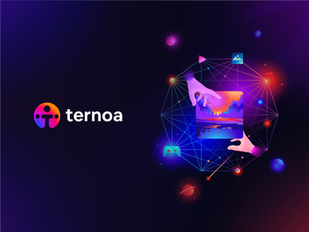 Building a blockchain for developing NFTs with utility: Case of Ternoa