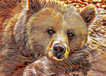 How QuickSwap’s New Predictions Market Could Conquer the Mega Bear