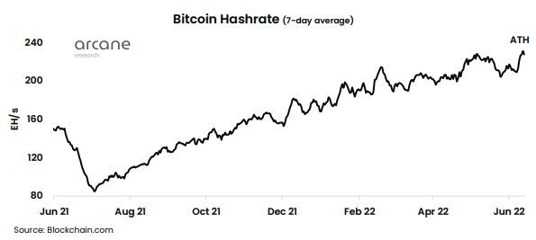 Hashrate Bitcoin