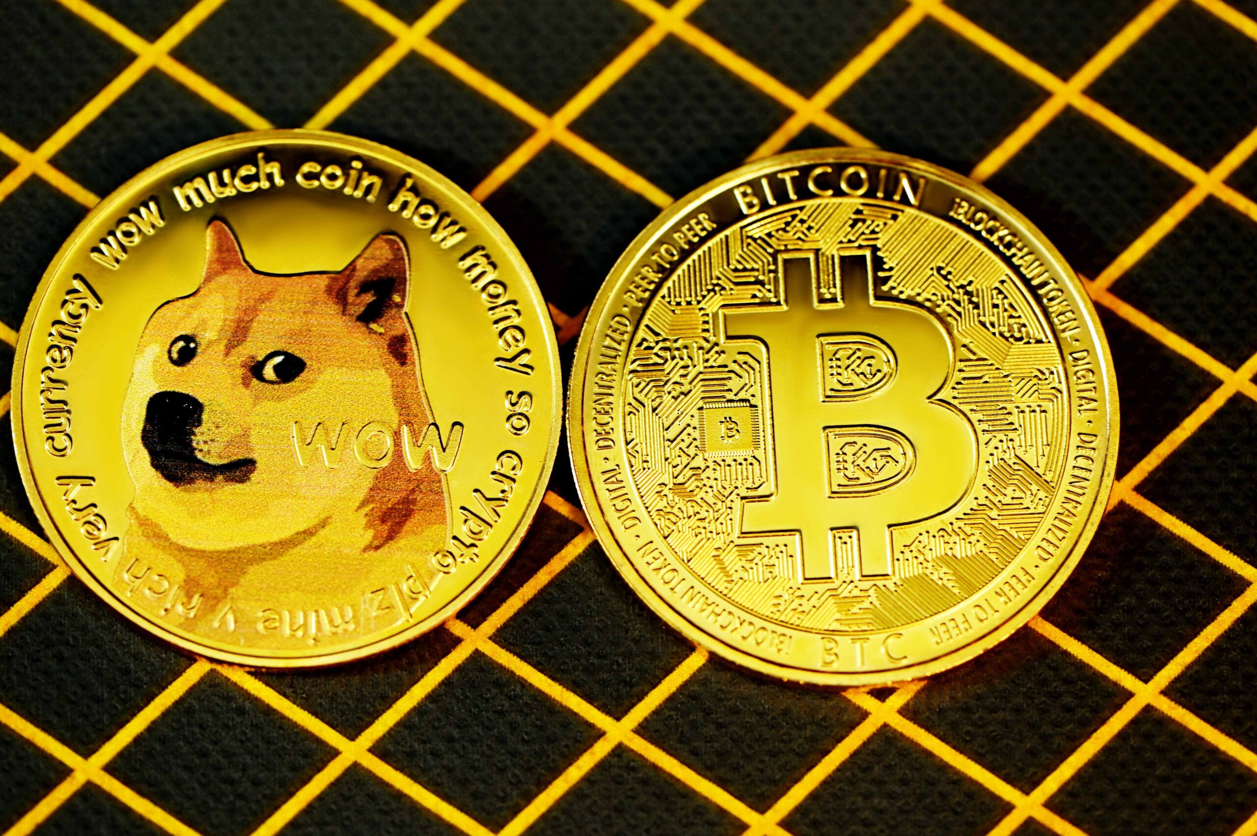 Dogecoin And Bitcoin Chipotle