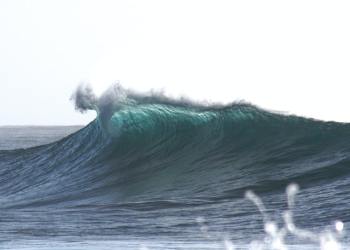 Crypto NFT NFTs OpenSea