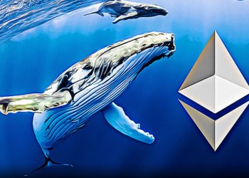 Ethereum whales