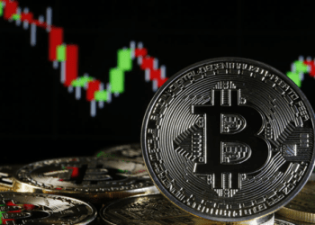 Will the Crypto Market Make a Comeback? A Look Into the Recent Downturn and What the Future Holds