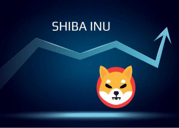 Shiba Inu