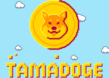 The Next Crypto with Potential to Pump Like Shiba in 2022