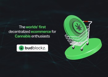 Crypto Winter is Here. Whether the storm with BudBlockz, USD Coin, Cosmos, Ripple XRP and BNB coin.