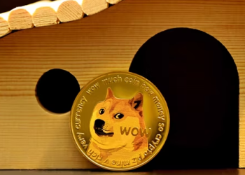 Can Dogecoin, Shiba Inu, and Kittynomica Dominate The Crypto Market?