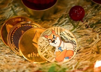 Crypto Investment Guide For September: Shiba Inu, Metacryp Network, And Fantom