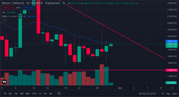 比特币（BTC）和以太坊（ETH）价格预测正如分析师所说“不要睡在$HDWY上”