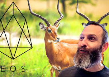 EOS Network Foundation CEO Yves La Rose Comments On Antelope Rebrand