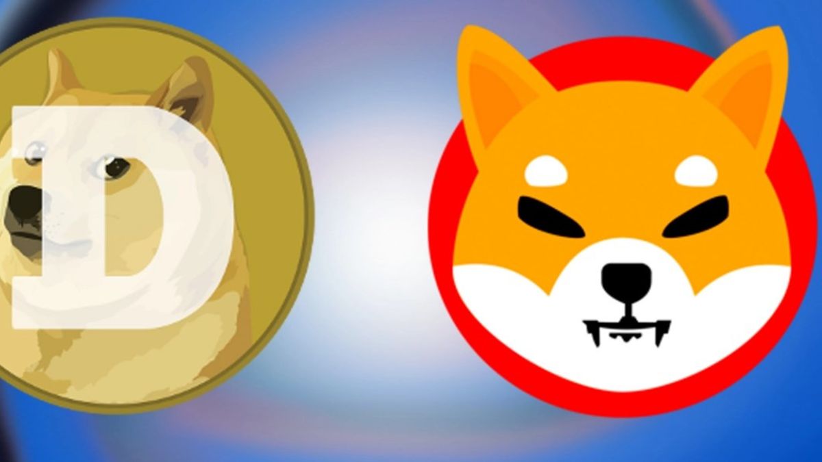 Former US Congressional Candidate Publicly Supports Dogecoin And Shiba Inu