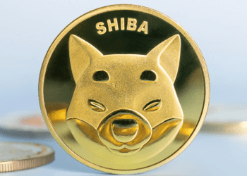 Shiba Inu