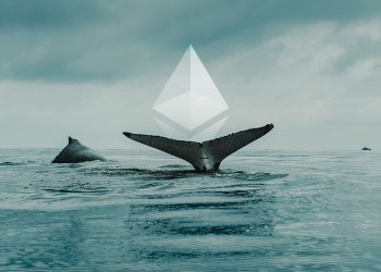 Ethereum whales