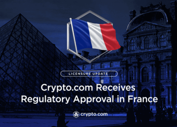 Crypto.com and Binance investing in France: which cryptos are the most popular there?
