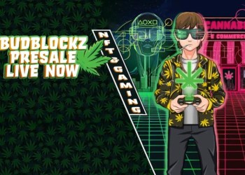 Decentraland and Sandbox investors turn to BudBlockz for better returns