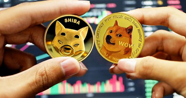 SHIB And DOGE On Cardano Network? Here’s Why You Should Be Careful