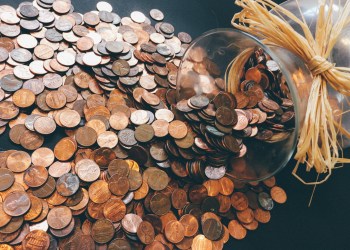 Eco-Friendly Project IMPT Records $2.5M Investment in Less than 1 Week