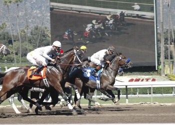 Polychain makes a move to HotStreak to streamline sports betting using blockchain