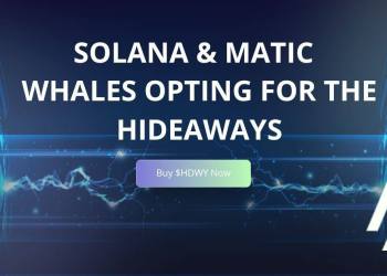 New Metrics Show Solana (SOL) And Polygon (MATIC) Whales Interested In The Hideaways