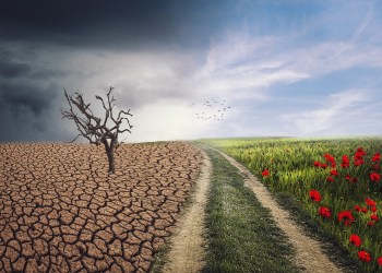 Is Web3.0 Good for the Environment? Learn Why IMPT Sets The Path to the Future