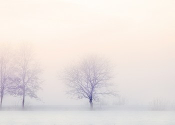 When is the crypto winter going to end? Here are some tokens trying to challenge the bear market