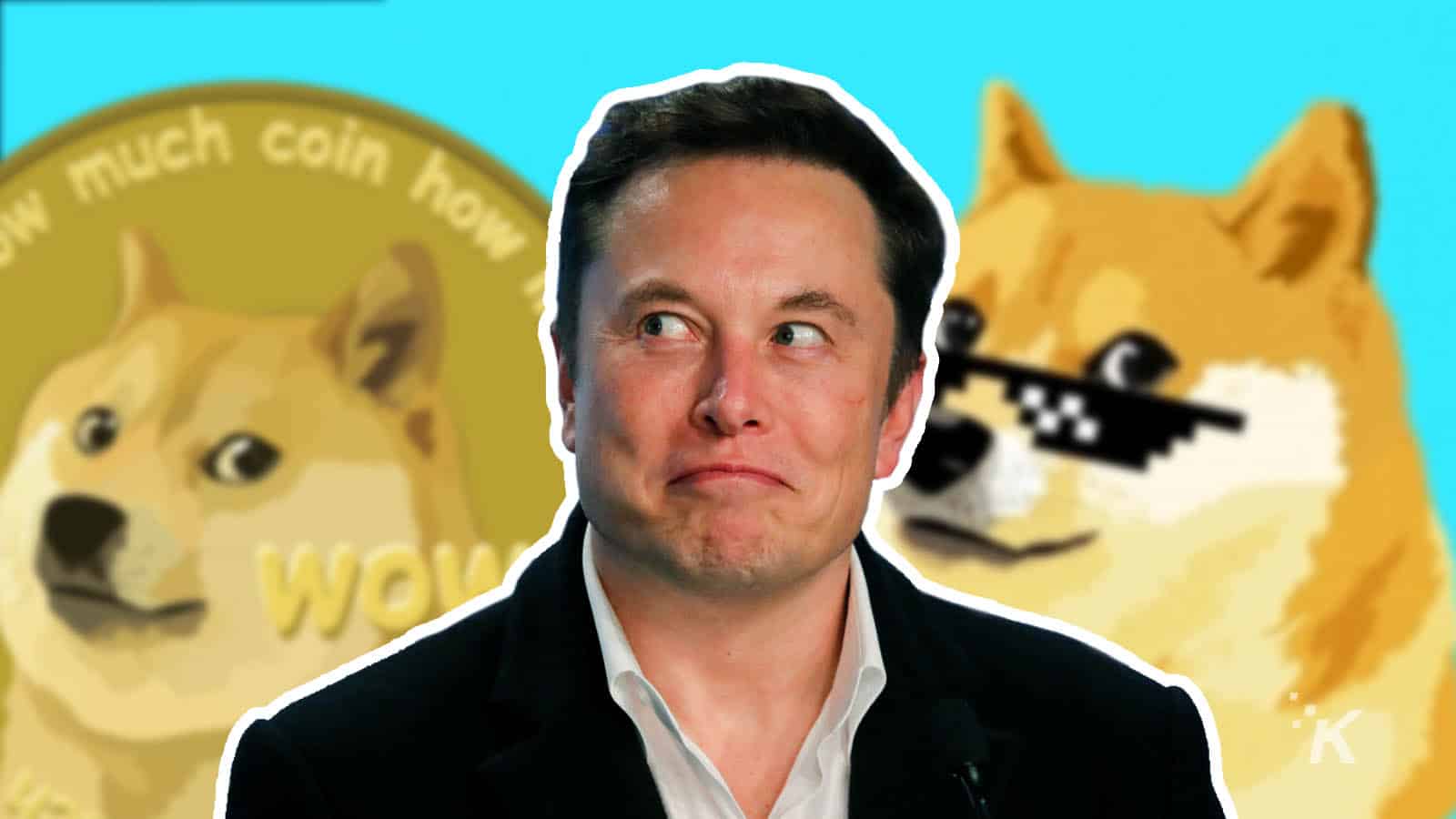 Elon Musk Twitter and Dogecoin