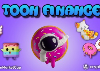 Toon Finance Wants To Preserve Crypto’s Decentralized Status, Here’s Why
