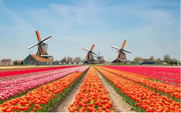 Netherlands Is The ‘World’s Most Metaverse Ready’ County – Here’s Why