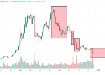 Why is Crypto Crashing? 5 Reasons Why Bitcoin Is on the Path to $10k