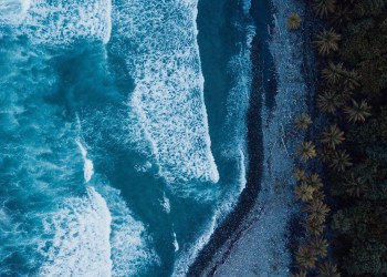 Dominica DMC TRON Justin Sun