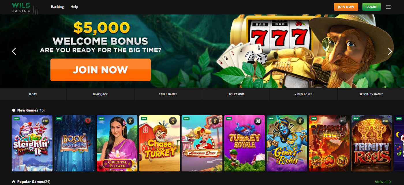 new zealand casino online