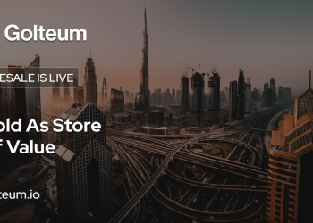 Axie Infinity, Rarible and Golteum: 3 NFT marketplaces and their coins to look into