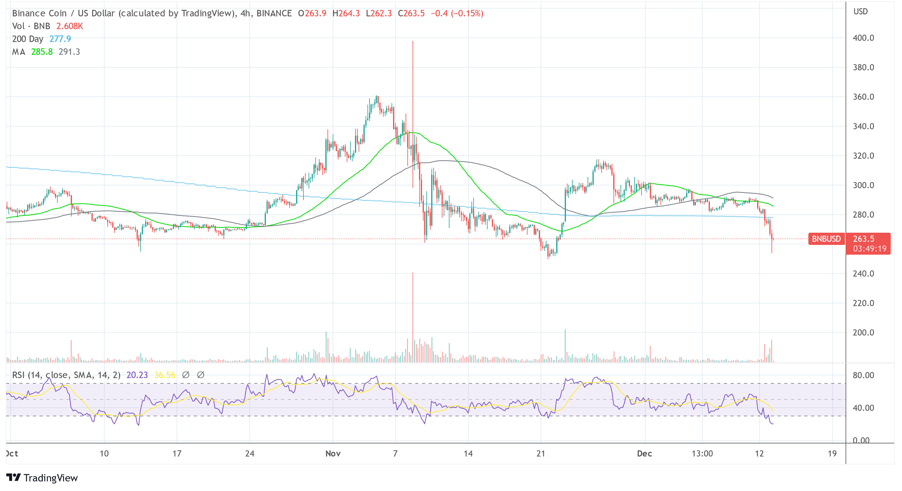 바이낸스 BNB USD 2022-12-13