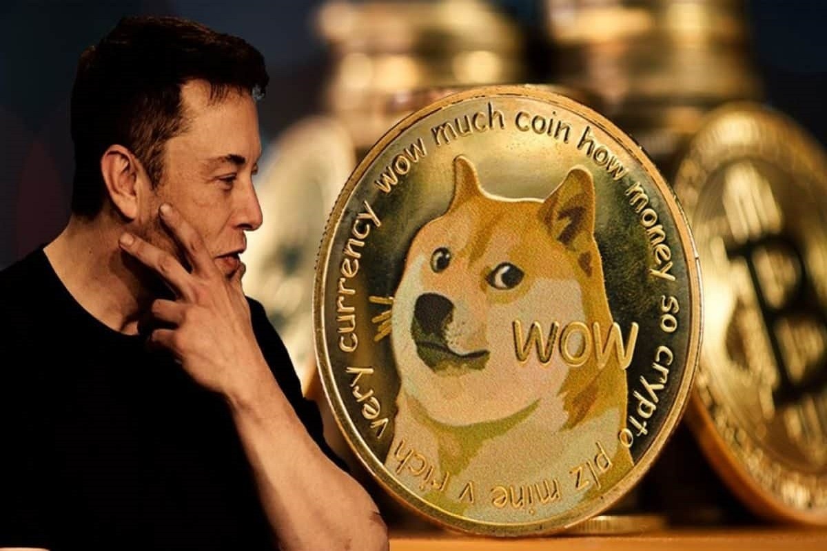 Dogecoin In Freefall Following Musk’s Decision To Step Down As Twitter CEO | Bitcoinist.com
