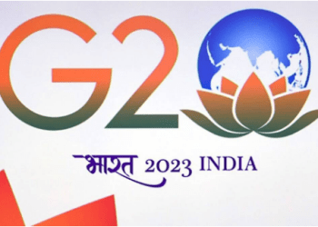 G20