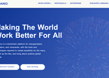 Is it Too Late to Buy Cardano? The Failed Stablecoin Project and the Blockchain Future