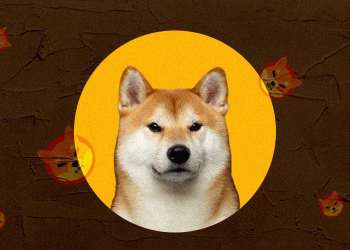 Shiba Inu (SHIB) holders