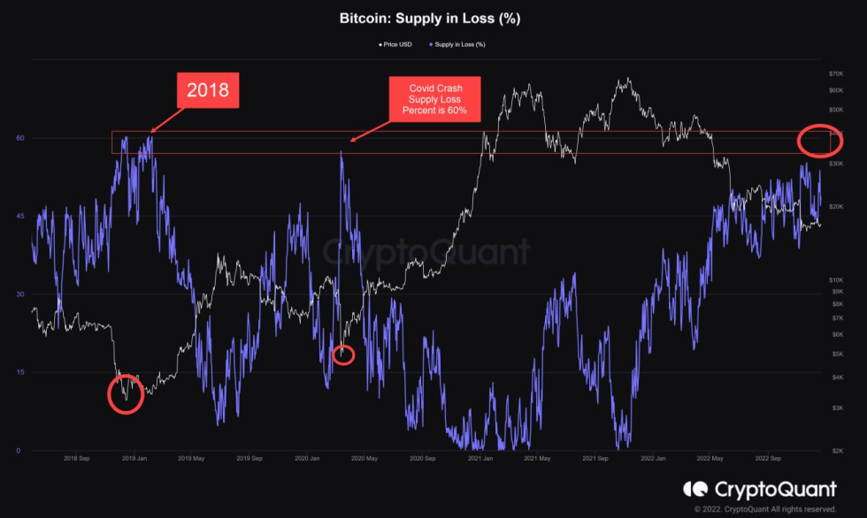 Bitcoin Supply in Loss